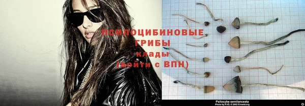 ешки Заводоуковск