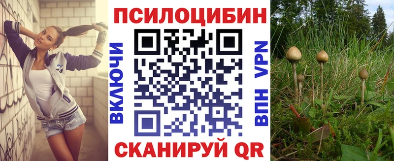 omg зеркало  Маркс  Галлюциногенные грибы Magic Shrooms 