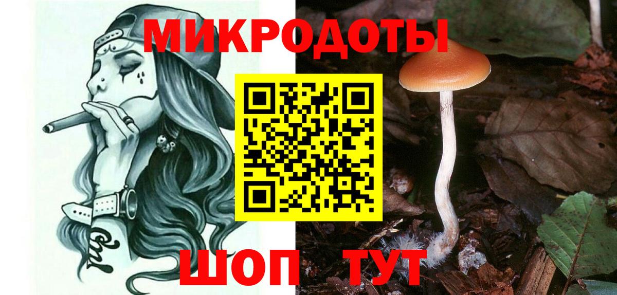 Галлюциногенные грибы Psilocybe Маркс