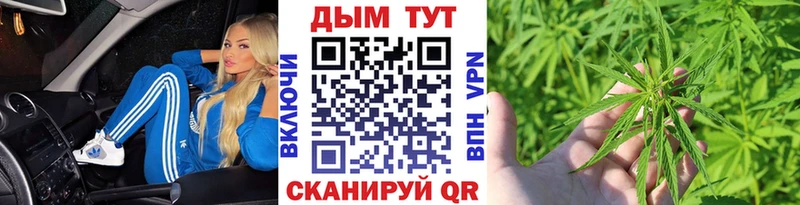 Канабис сатива  Маркс 